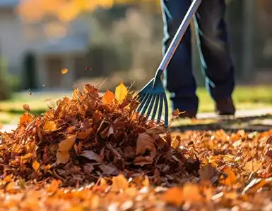 ramassage de feuilles Tours
